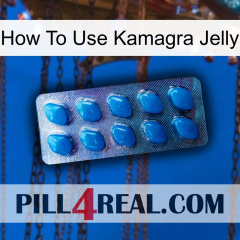 How To Use Kamagra Jelly viagra1